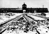 [Photo: Blick auf das Torhaus des Konzentrationslagers Auschwitz-Birkenau, 1945]